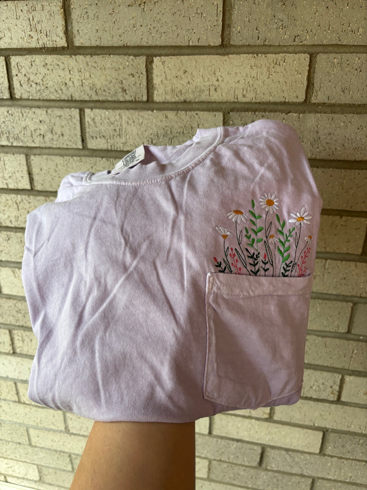 Pocket of Daisies
